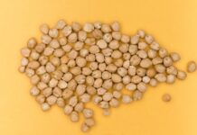 Vegansk proteinpulver test – Find det bedste veganske proteinpulver bedste veganske proteinpulver