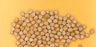 Vegansk proteinpulver test – Find det bedste veganske proteinpulver bedste veganske proteinpulver