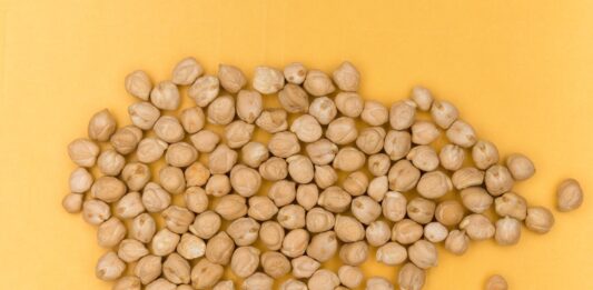 Vegansk proteinpulver test – Find det bedste veganske proteinpulver bedste veganske proteinpulver